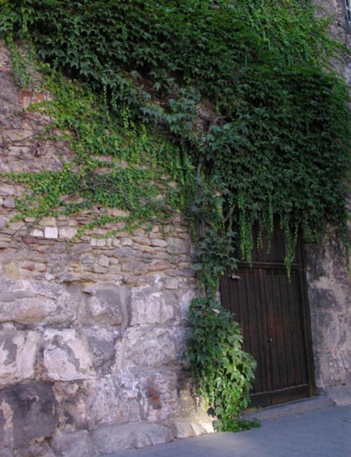 Aufhauser Hof Regensburg Exterior photo